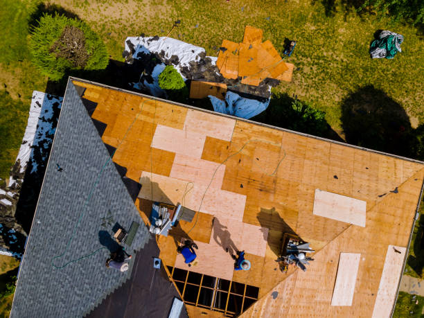 Best Roof Gutter Cleaning  in Southern View, IL