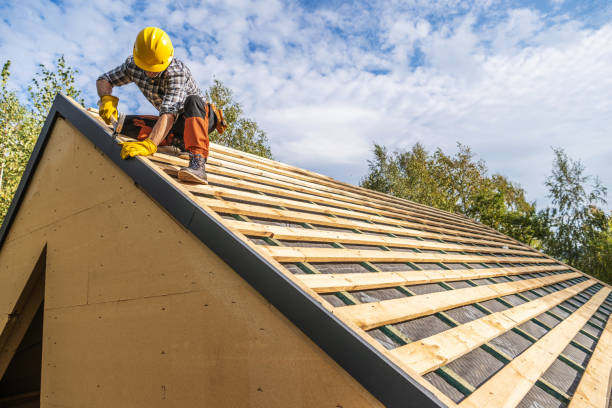 Best Roof Gutter Cleaning  in Southern View, IL